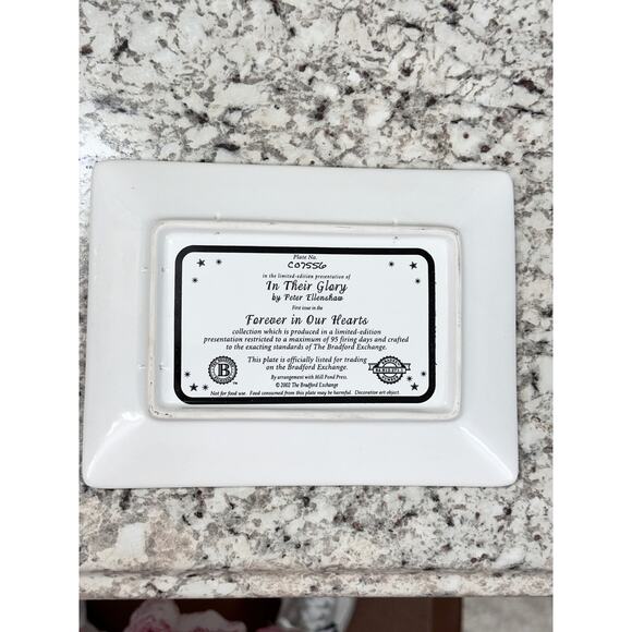 TWIN TOWERS New York City NYC Bradford Exchange Tray numbered 2002 - Picture 7 of 9